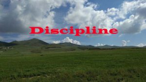 Self-discipline for entrepreneurs